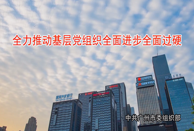 全力推動基層黨組織全面進步全面過硬